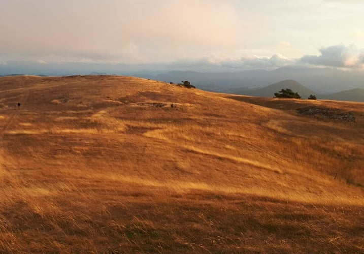 traverse est né de la fascination pour le geste et la beauté des mains qui façonnent la matière.
Conçus comme des objets uniques, les nu-pieds et les ceintures traverse sont fabriqués à la commande et personnalisés.
"La noblesse d'une pièce traverse vient de sa simplicité. " Violaine Osio